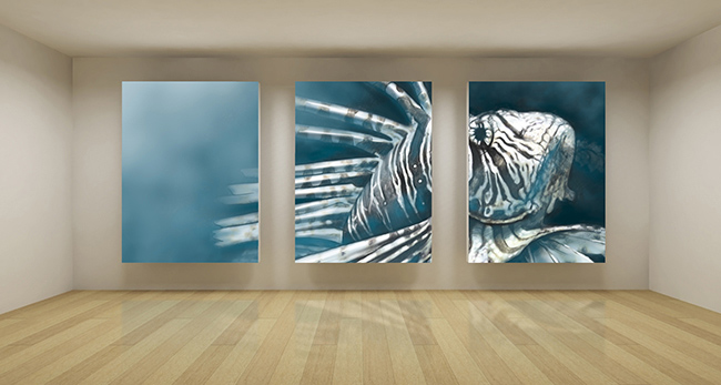 Tips for Choosing the Right Canvas Photo Prints for Your Room