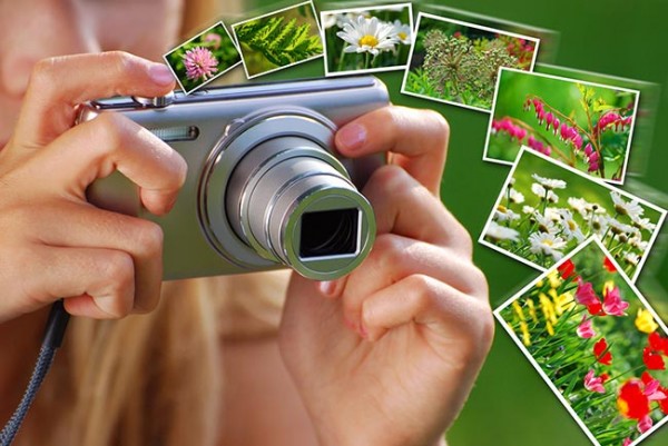 guide-to-getting-the-most-from-online-photo-printing-canvas-printers