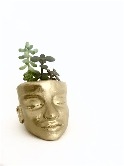 Unusual Gift Ideas - Gold Head Planter