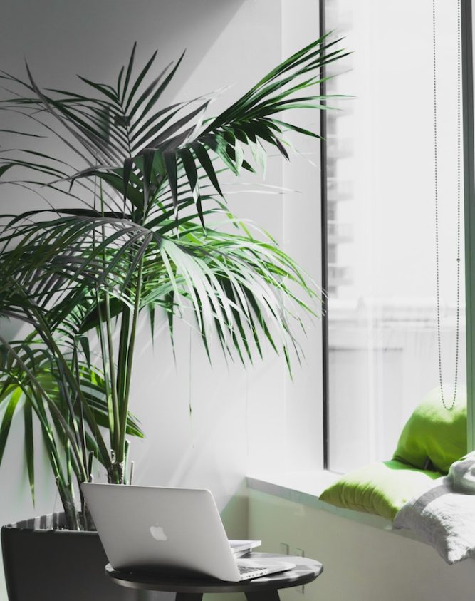 office decorating ideas greenery | Canvas Printers Online